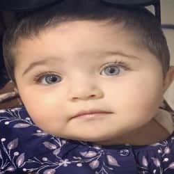 saif and kareena preparing for taimur first birthday on 20 december