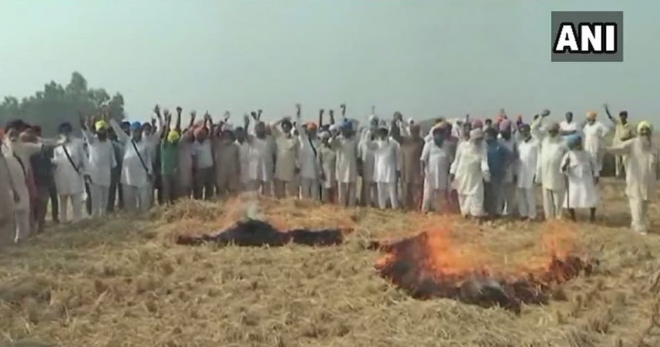Farmers in Sangrur burn stubble in protest