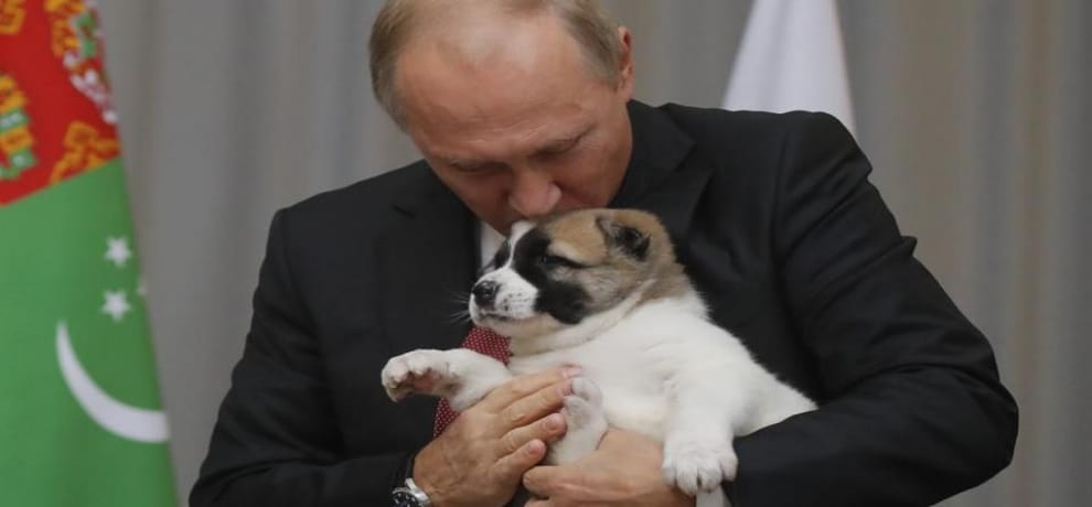Russian President Vladimir Putin gets another puppy as gift