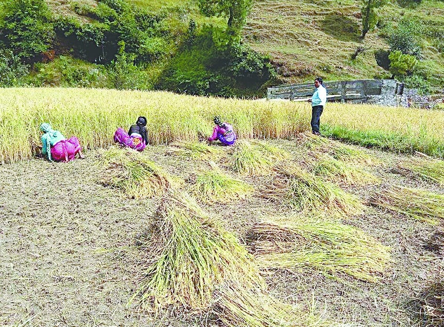two killed including a farmer in palesar machine blast
