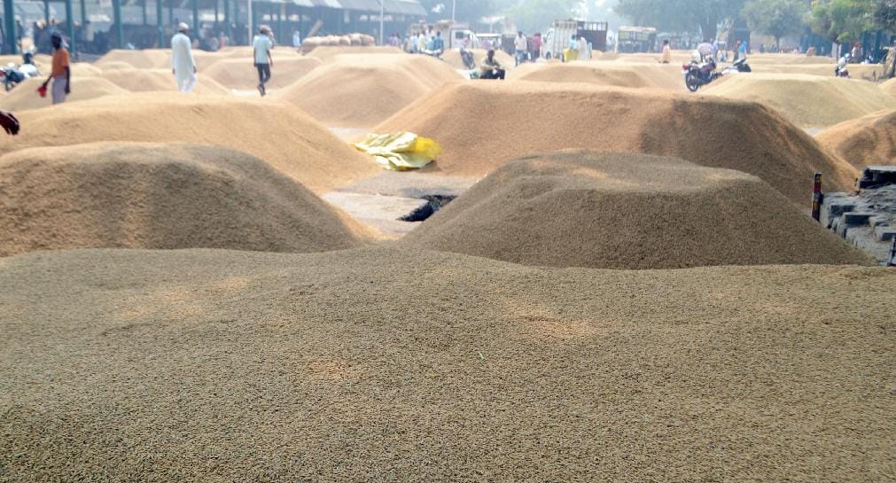 उतराखंड में मिलर्स की हड़ताल से धान के दाम गिरे