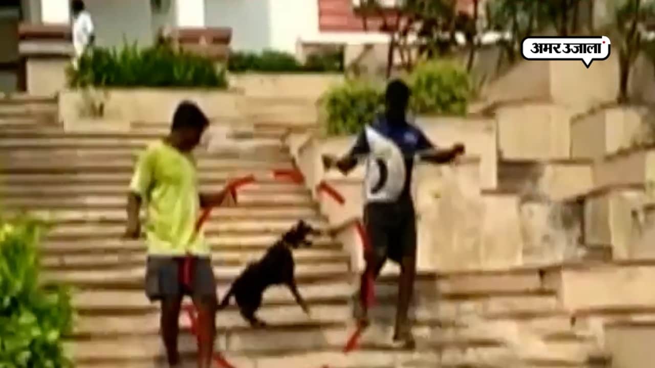 कुत्ते को रस्सी से खींचा