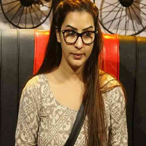 BIGG BOSS 11 NOW SHILPA SHINDE AND VIKAS GUPTA BECOMES BEST FRIENDS AND CHANGE THE TWIST