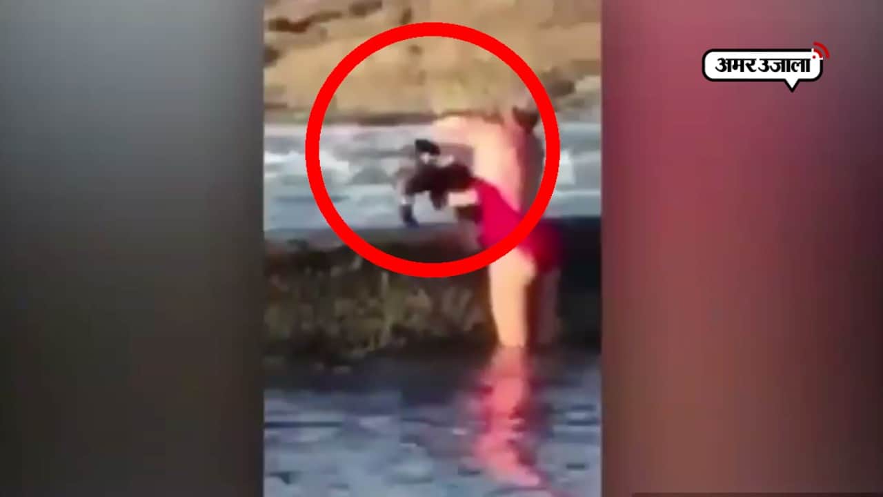 वायरल वीडियो 