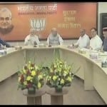 बीजेपी का मंथन