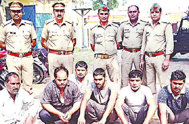 90 skins of cattle and other animals recovered