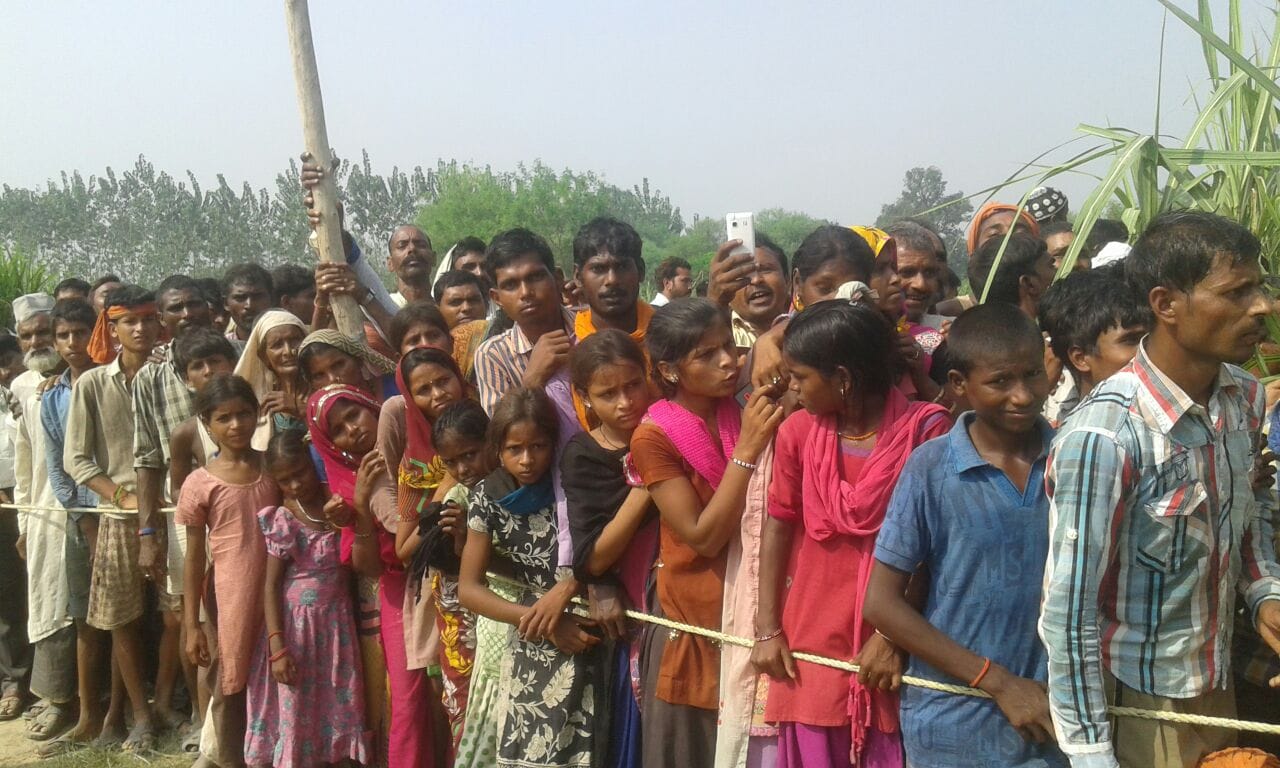 Leopard caught by forest department