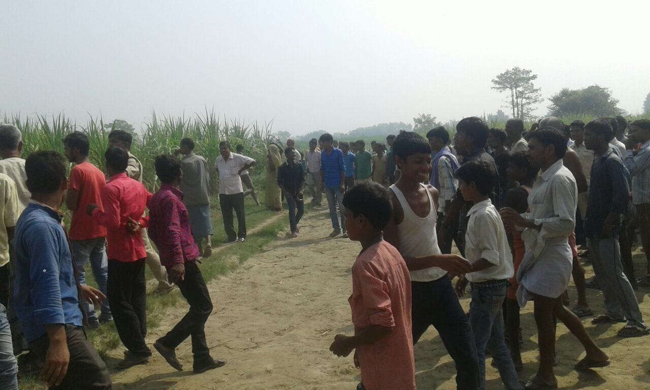 Leopard caught by forest department
