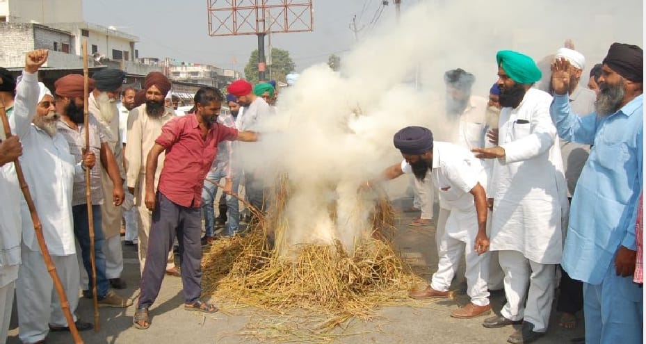 Farmers cut off rust in rice mill