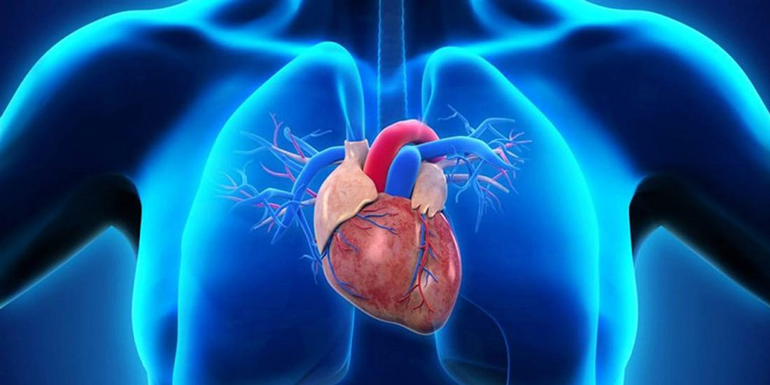 Class 7 student dies of heart attack