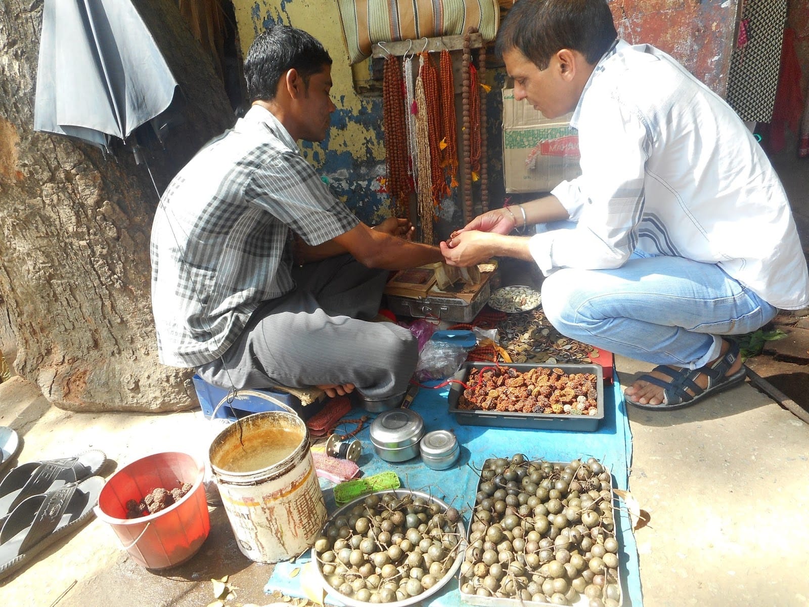 Know who should not wear Rudraksha