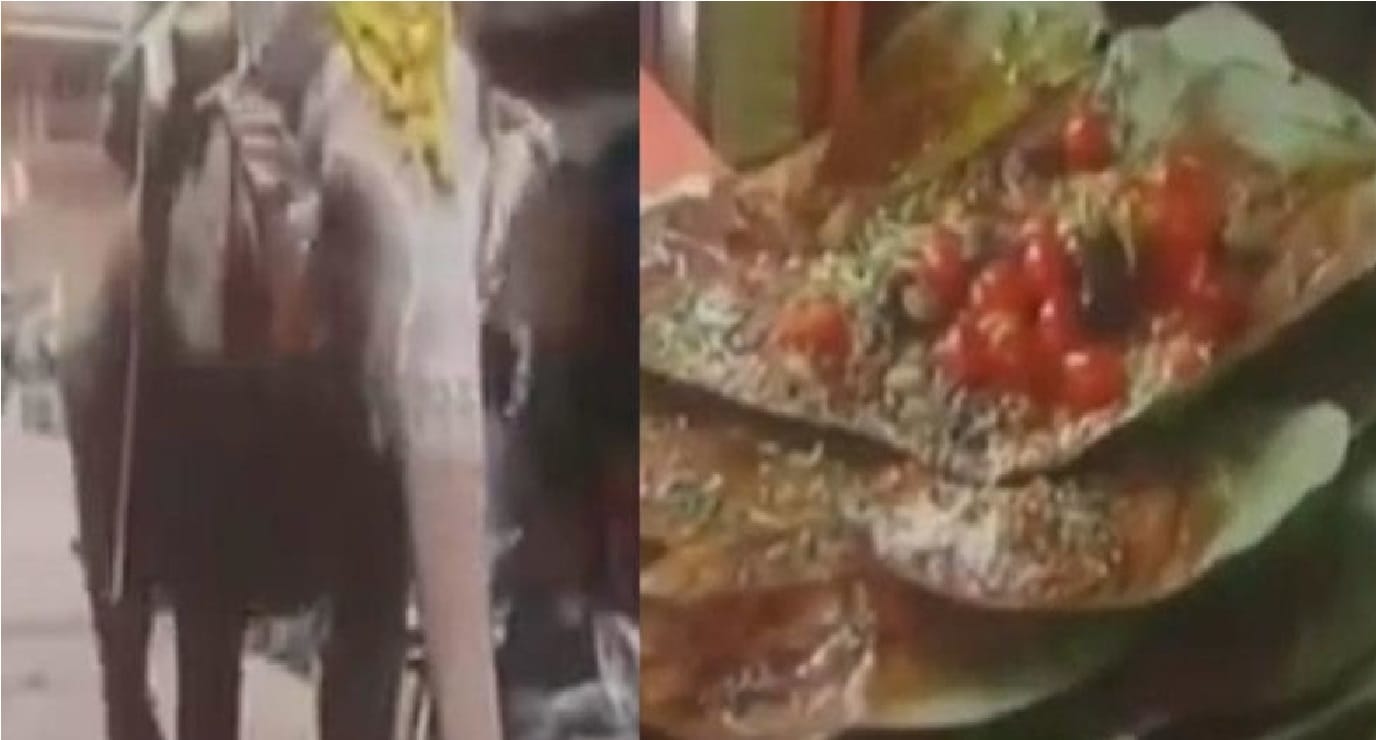 This Elephant loves eating paan at some special shops in his list