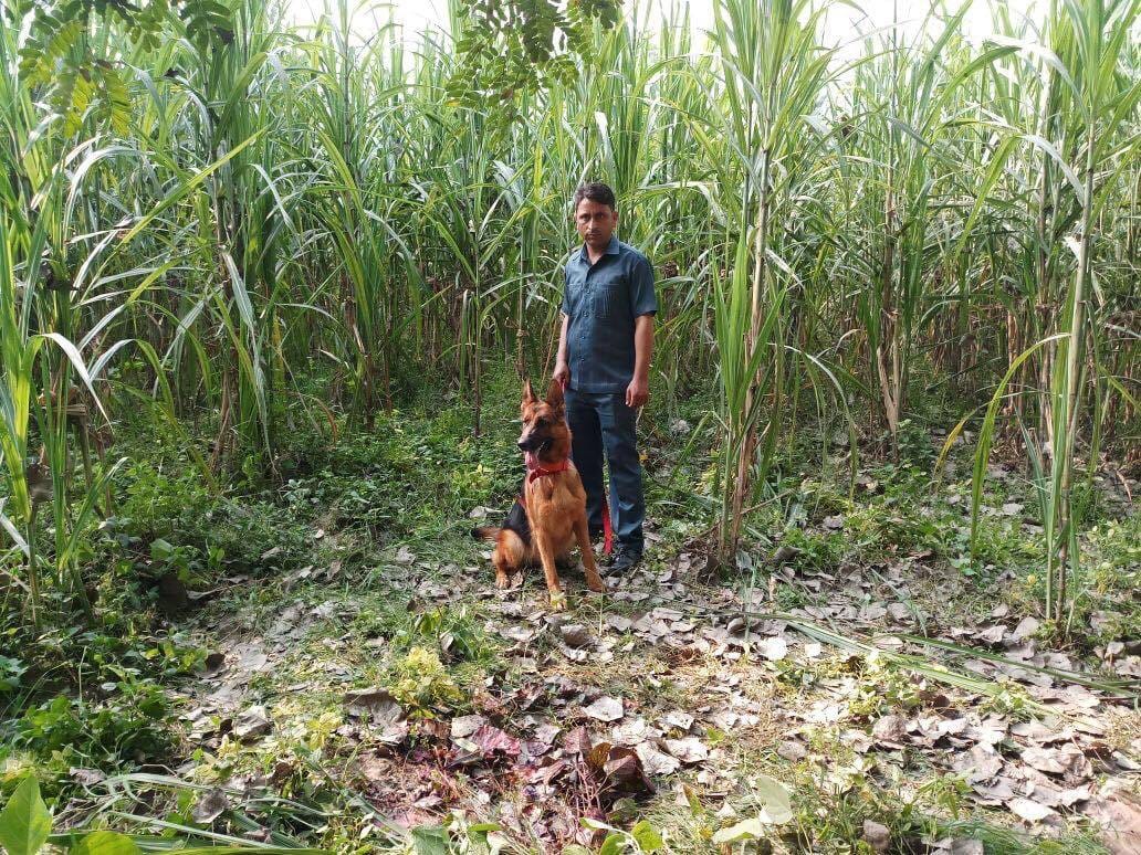 exclusive photos of haridwar road hold up loot
