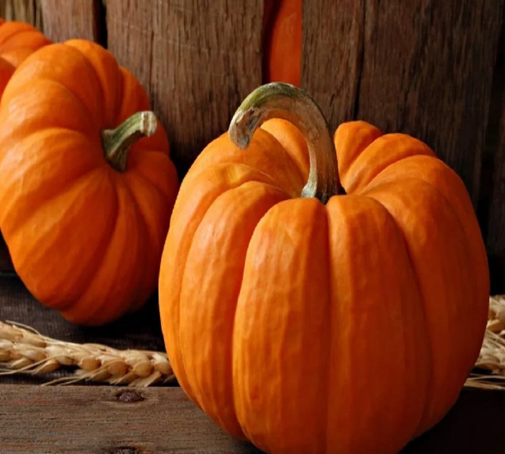 best hacks of pumpkin for skin