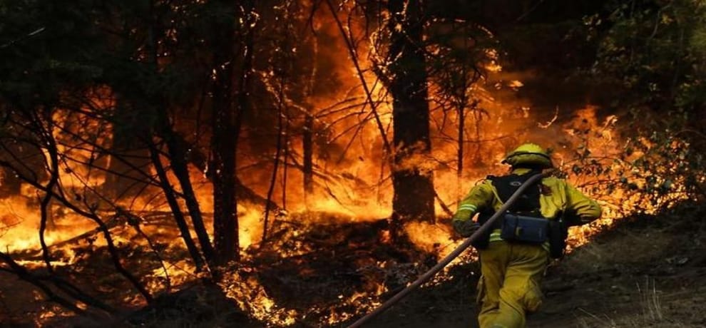 California wildfires in 2.3 million acres, 2.5 lakh people left their home