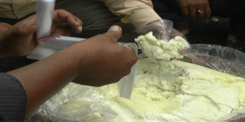 200 kg of adulterated milk cake seized in udaipur before supply