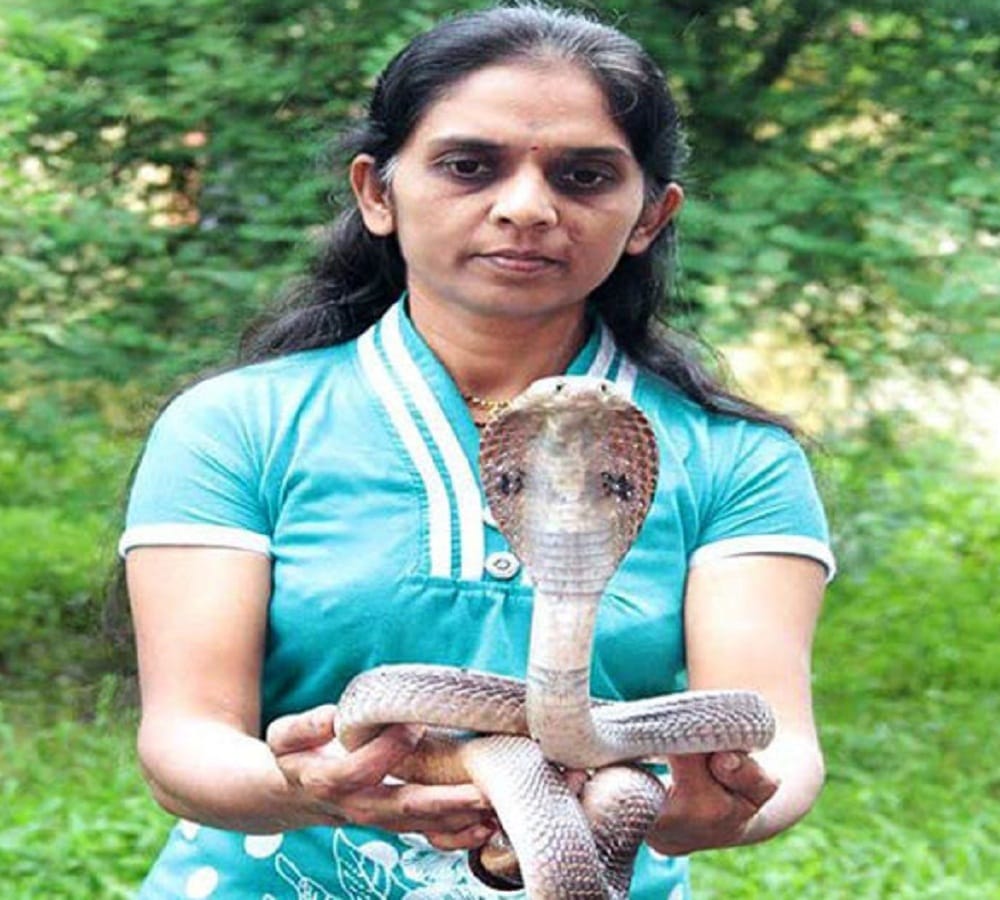 Snake catcher Vanita Borade catches almost thousands of snake in her life span