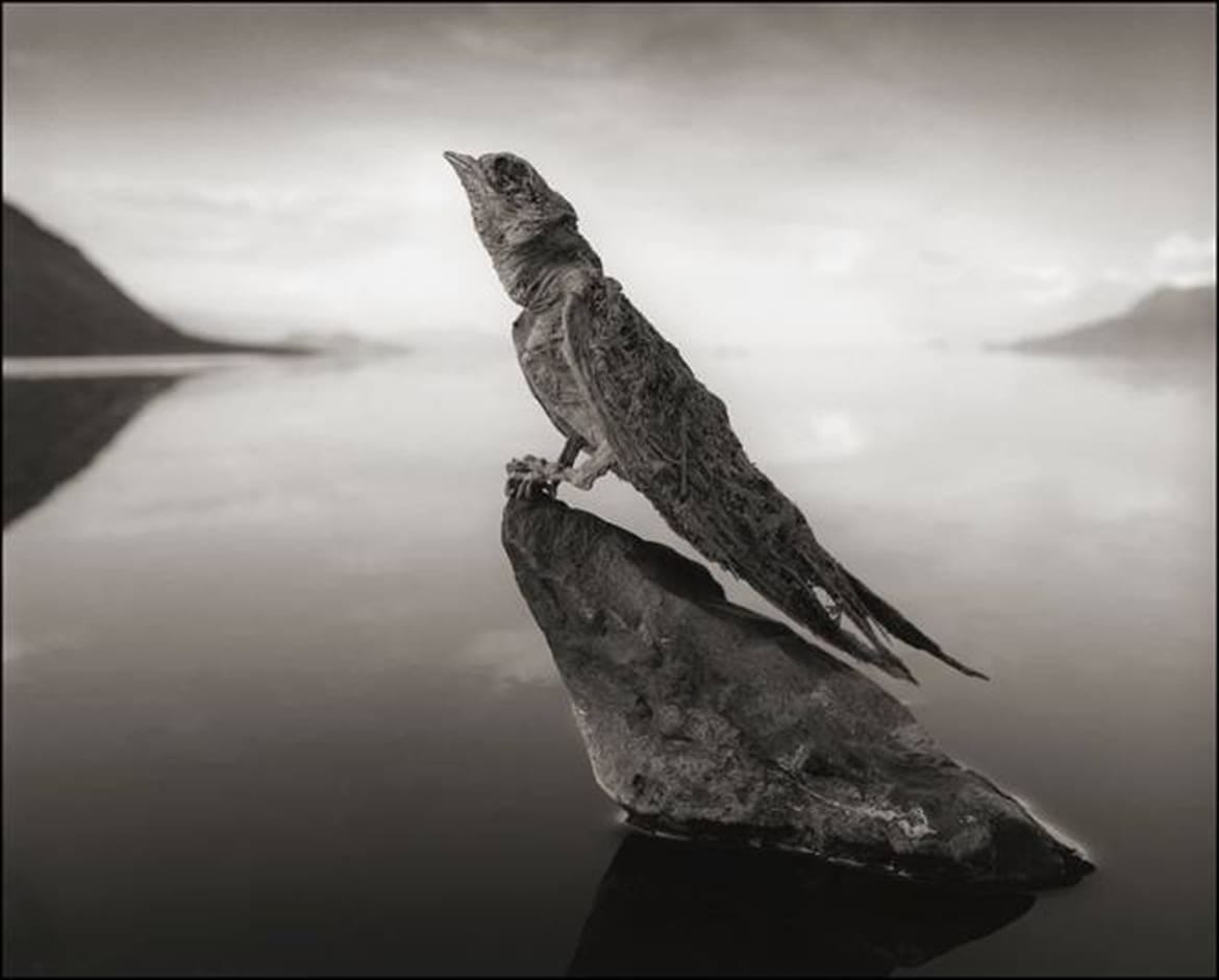 Most Dangerous Lake in the World water turns into stone