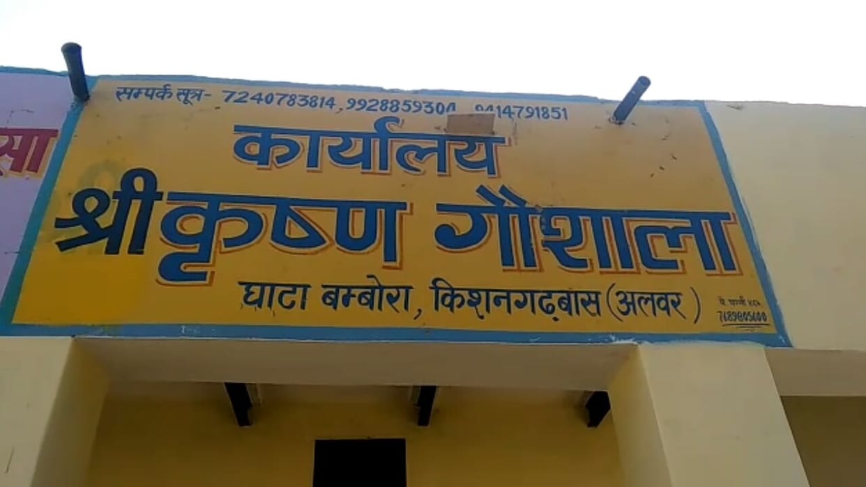 alwar police blamed for snatched cow from dairy farmer