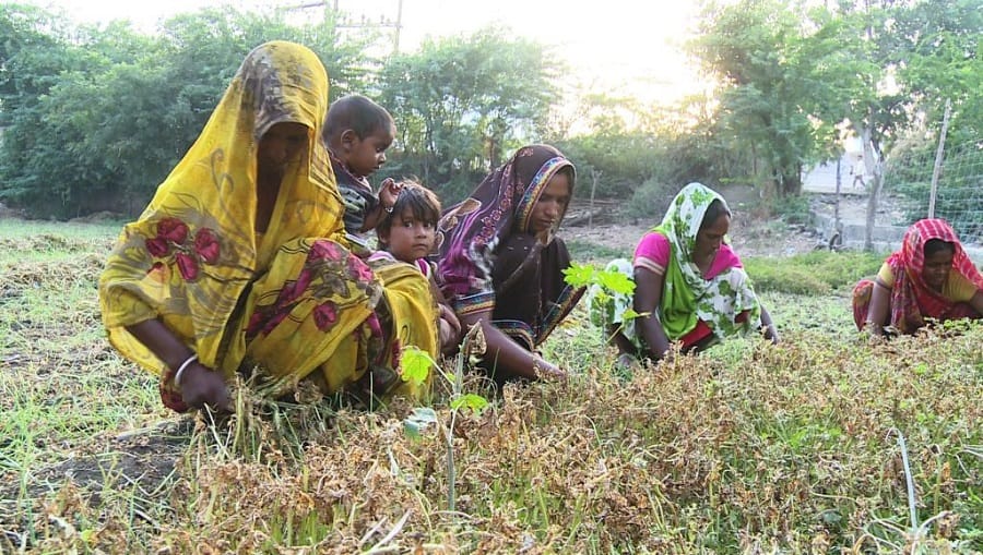 Women started a unique movement in this village, demands for Toilets