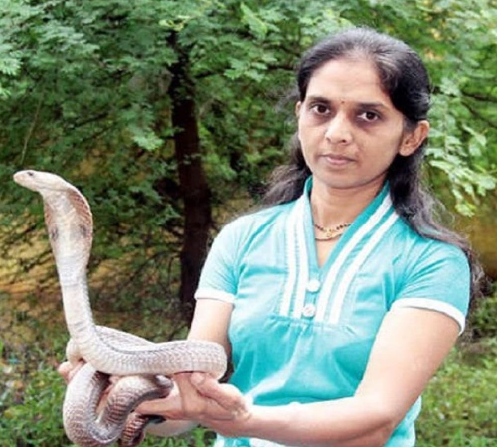 Snake catcher Vanita Borade catches almost thousands of snake in her life span