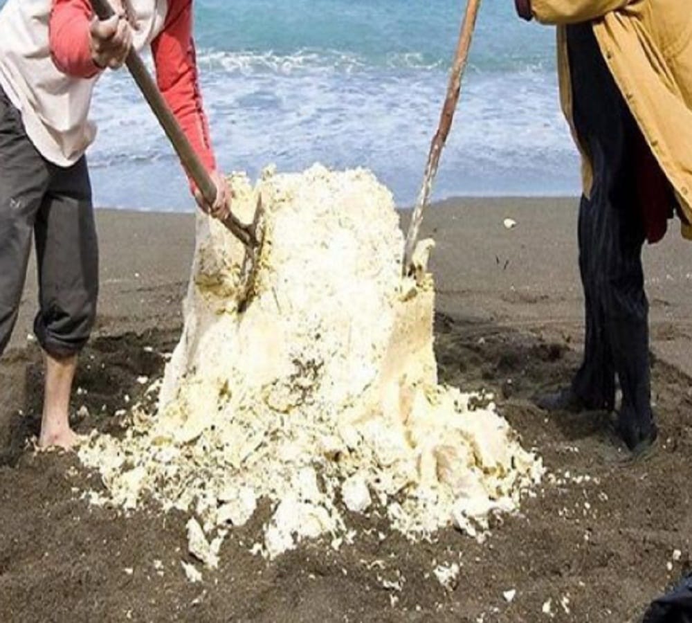 three fisherman become crorepati when he found whale fish vomit in Oman 
