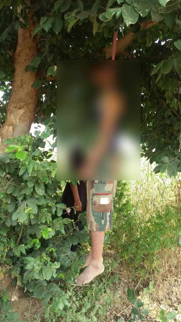agra lovers dead body found hanging on tree 