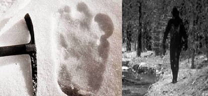 The mystery of the yeti is still unsettling beginning of their existence start from here