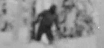 The mystery of the yeti is still unsettling beginning of their existence start from here