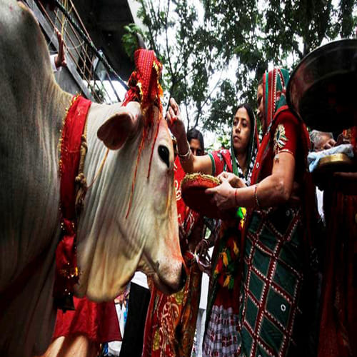 govardhan puja know worship time or shubh muhurat of annakut and puja vidhi