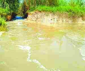 Canal Cut leads to crop damage