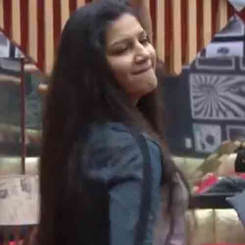 in bigg boss 11 sapna hot dance with vikas gupta and love