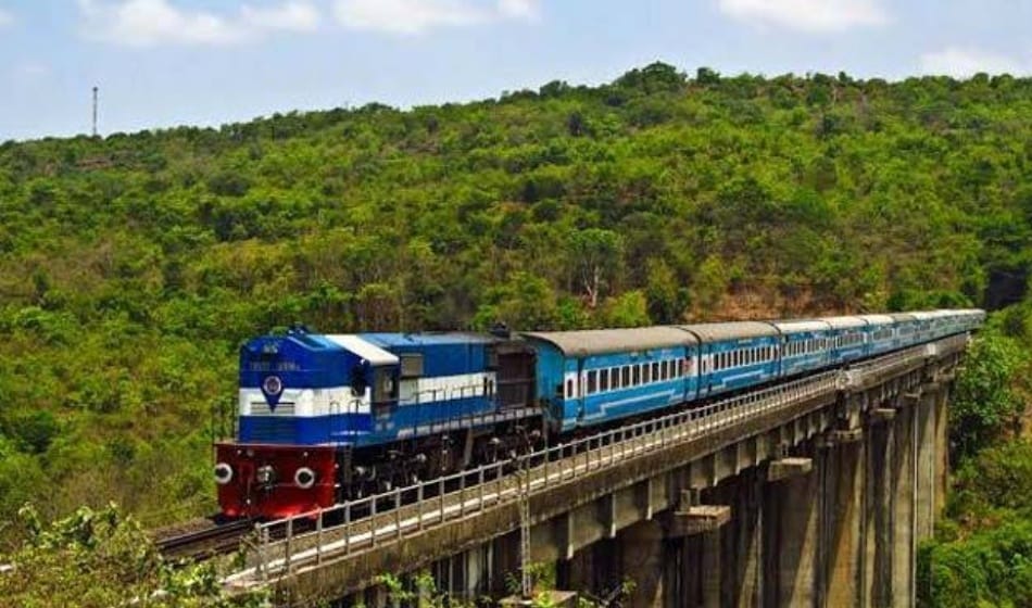 track will be laid in city forest trains will run for tourists learn more what adventure