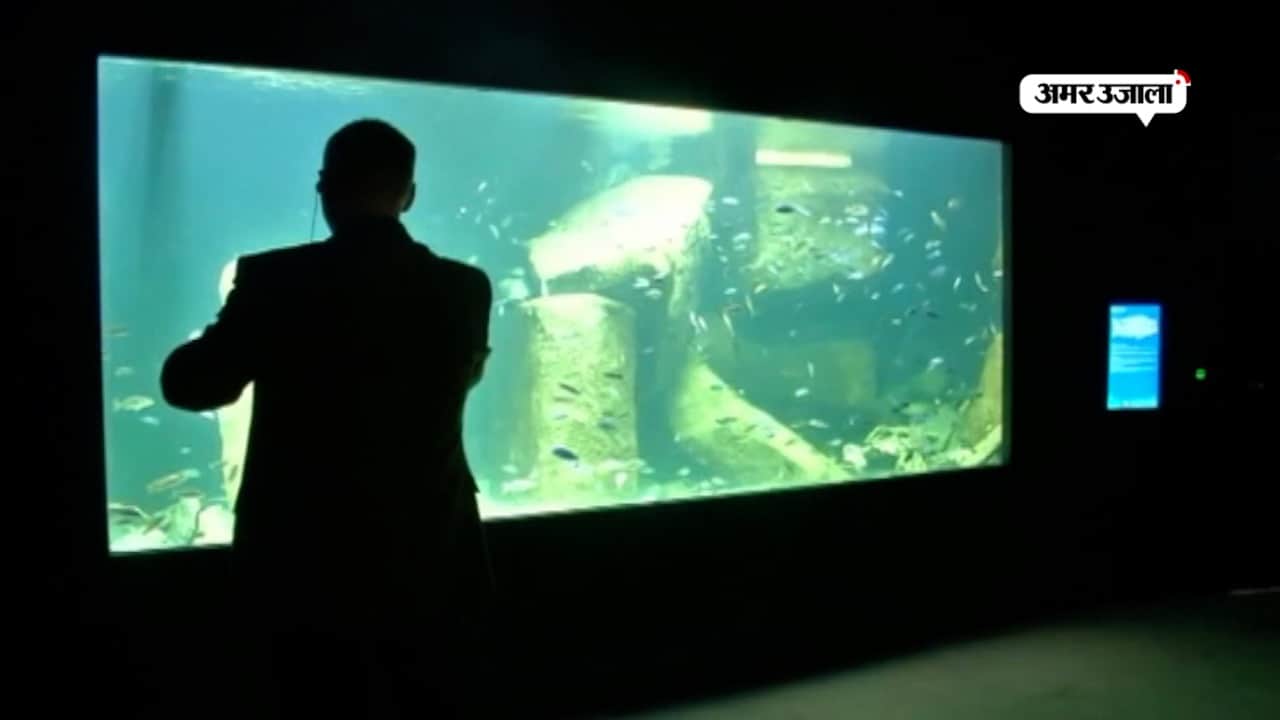 विलुप्त होती मछलियों के लिए सबसे बड़ा एक्वेरियम तैयार