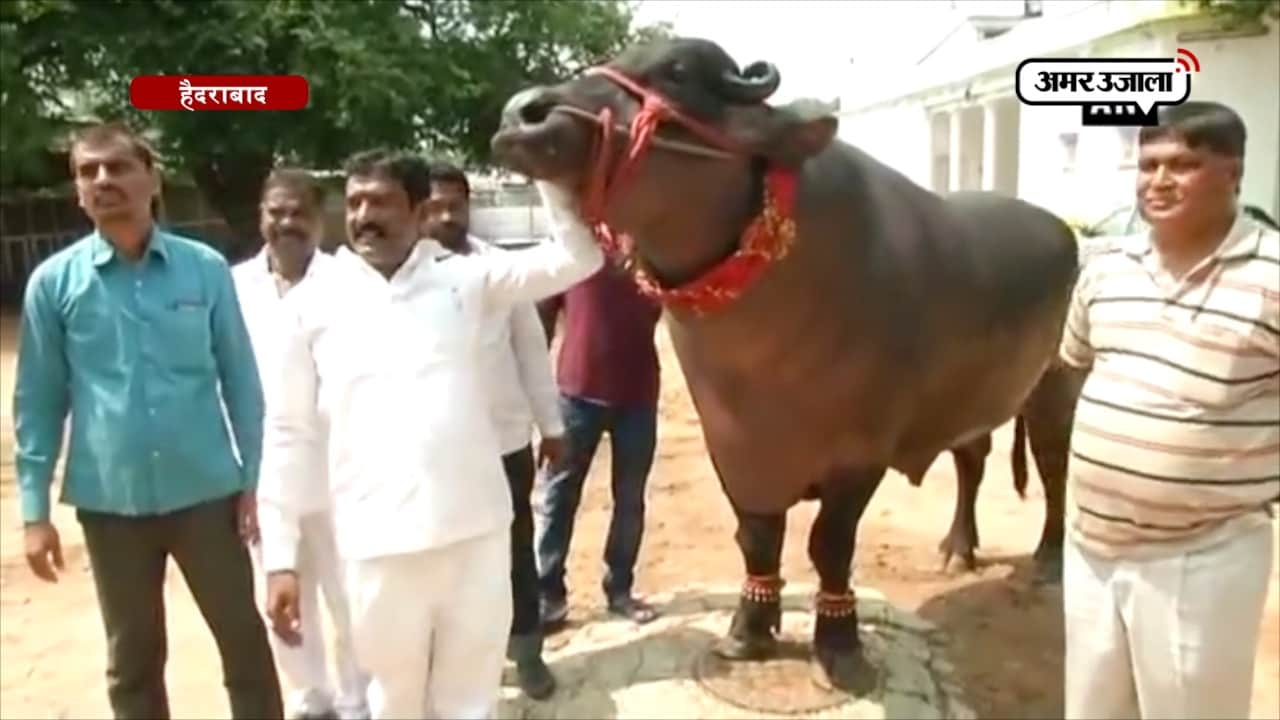 हैदराबाद