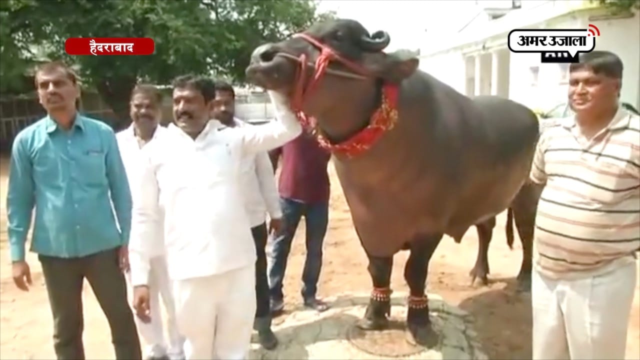 हैदराबाद