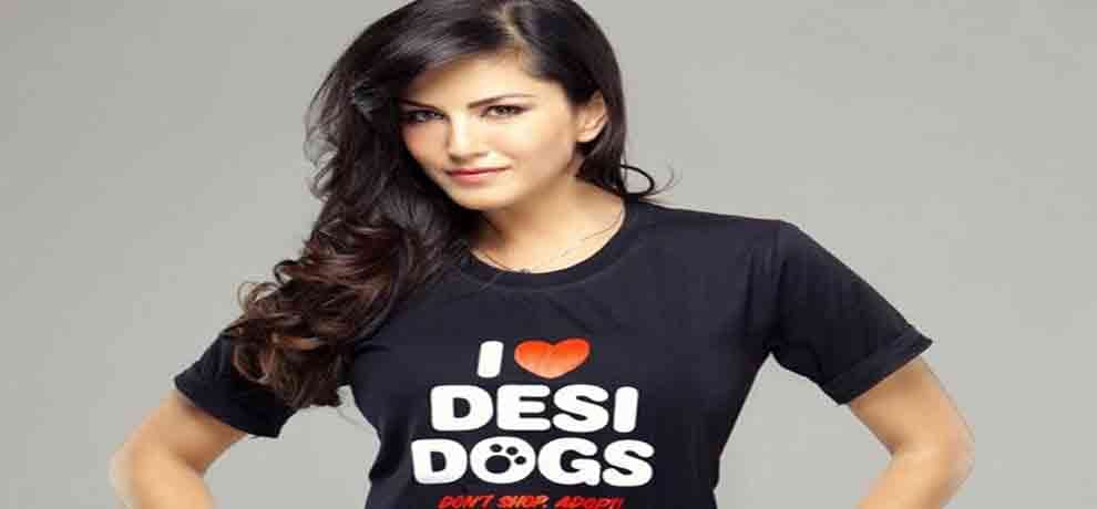 SUNNY LEONE POSTED A CUTE VIDEO IN INSTAGRAM MUST WATCH