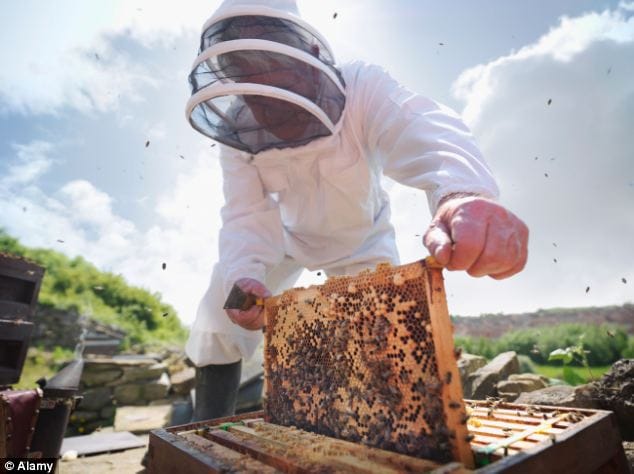 Beekeepers can go any state without nay checking