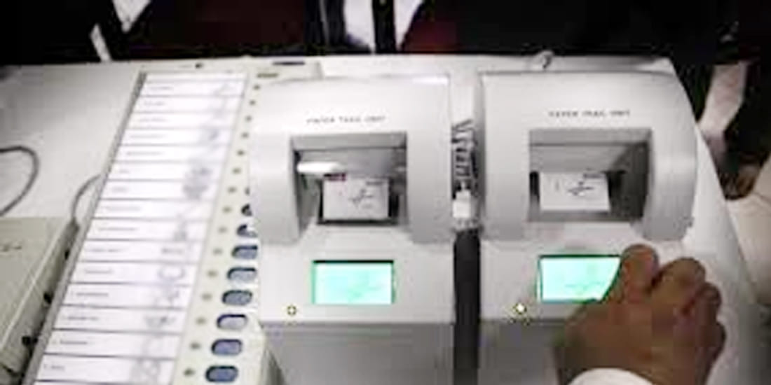 Now you can see if your vote was right or not
