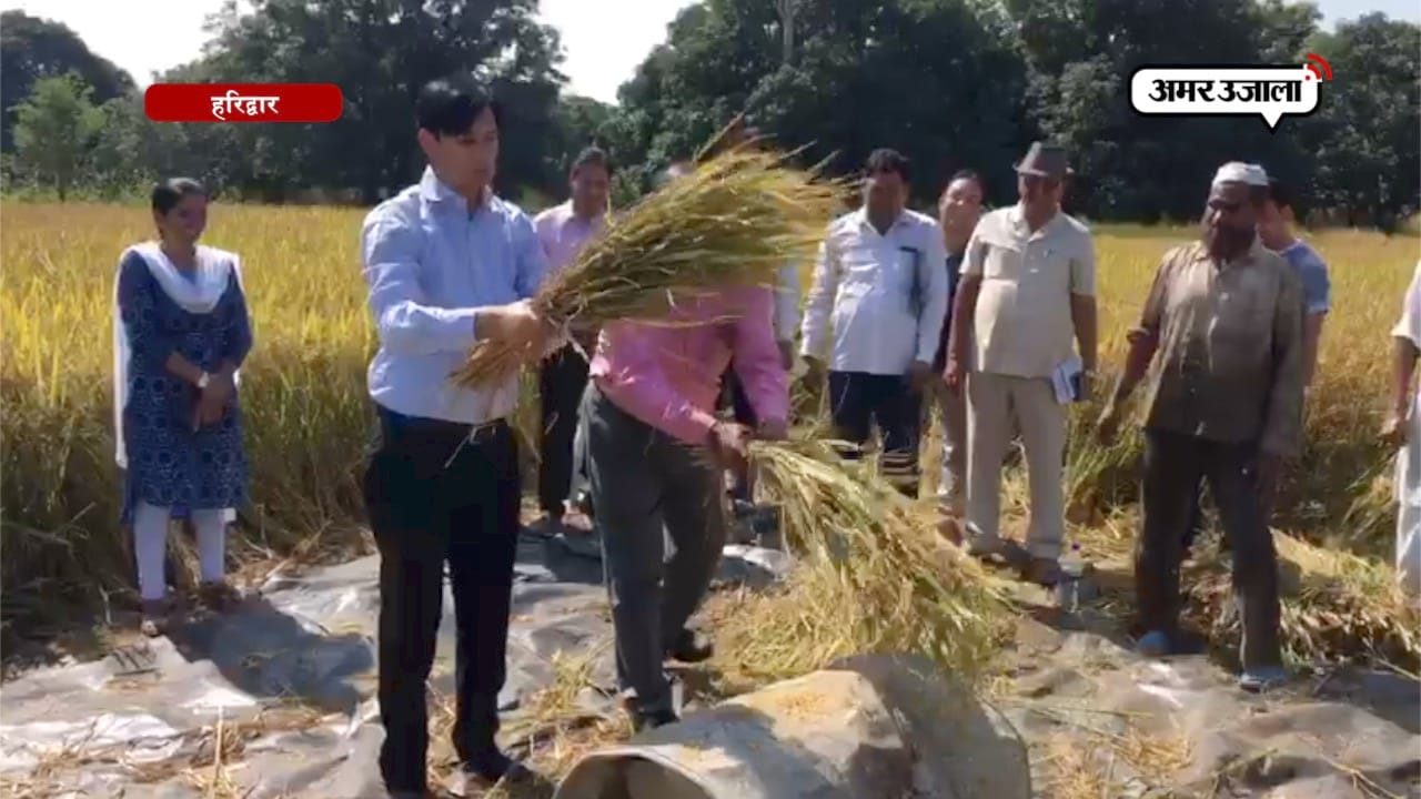 हरिद्वार 