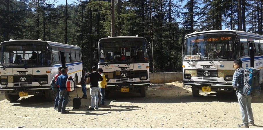 Three additional buses run by roadways