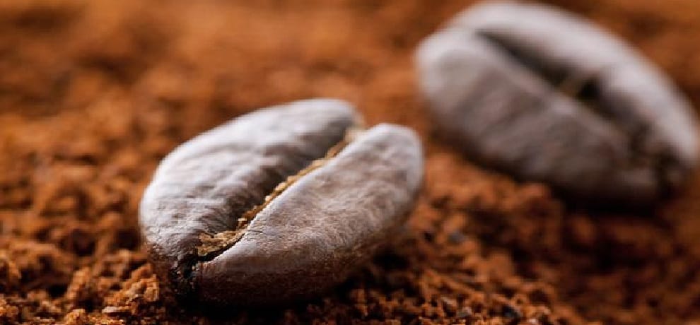 Coffee Board Recruitment Director of Research Post know how to apply