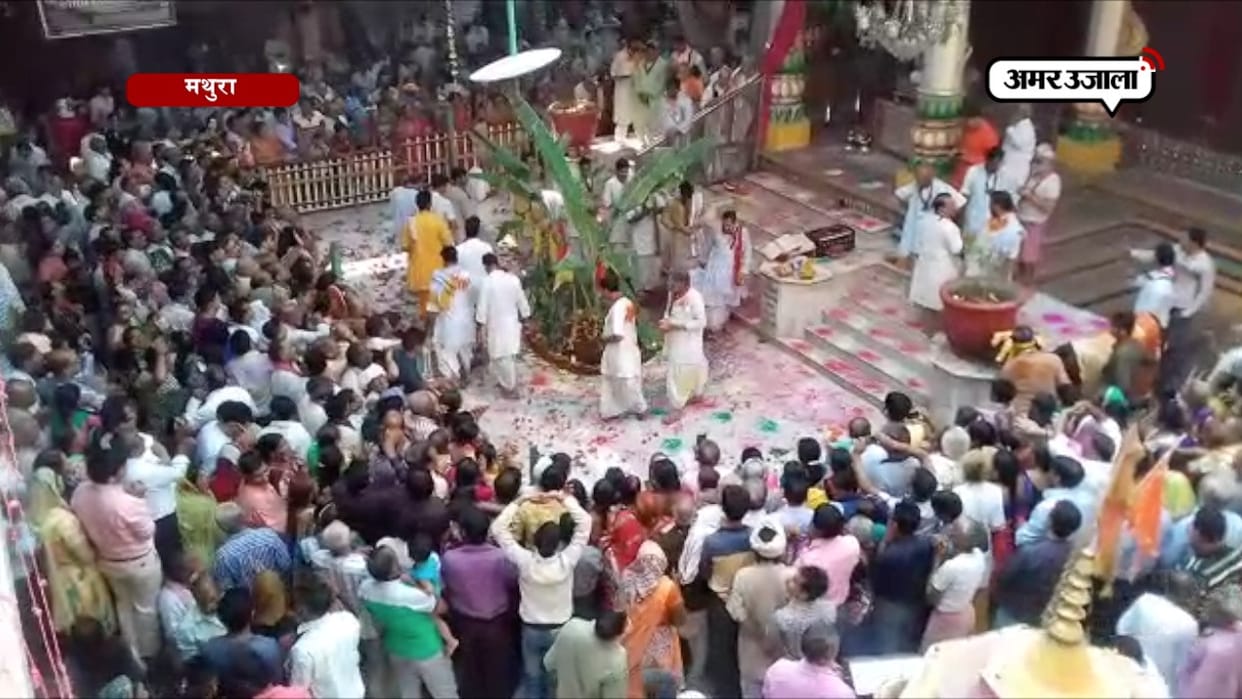गोवर्धन महाराज का घर-घर में हुआ  पूजन
