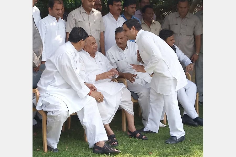mulayam singh yadav family look as a unit.