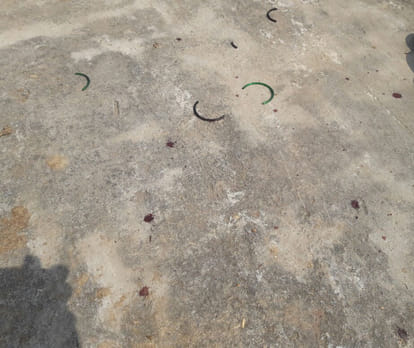 police attacked by mob in agra