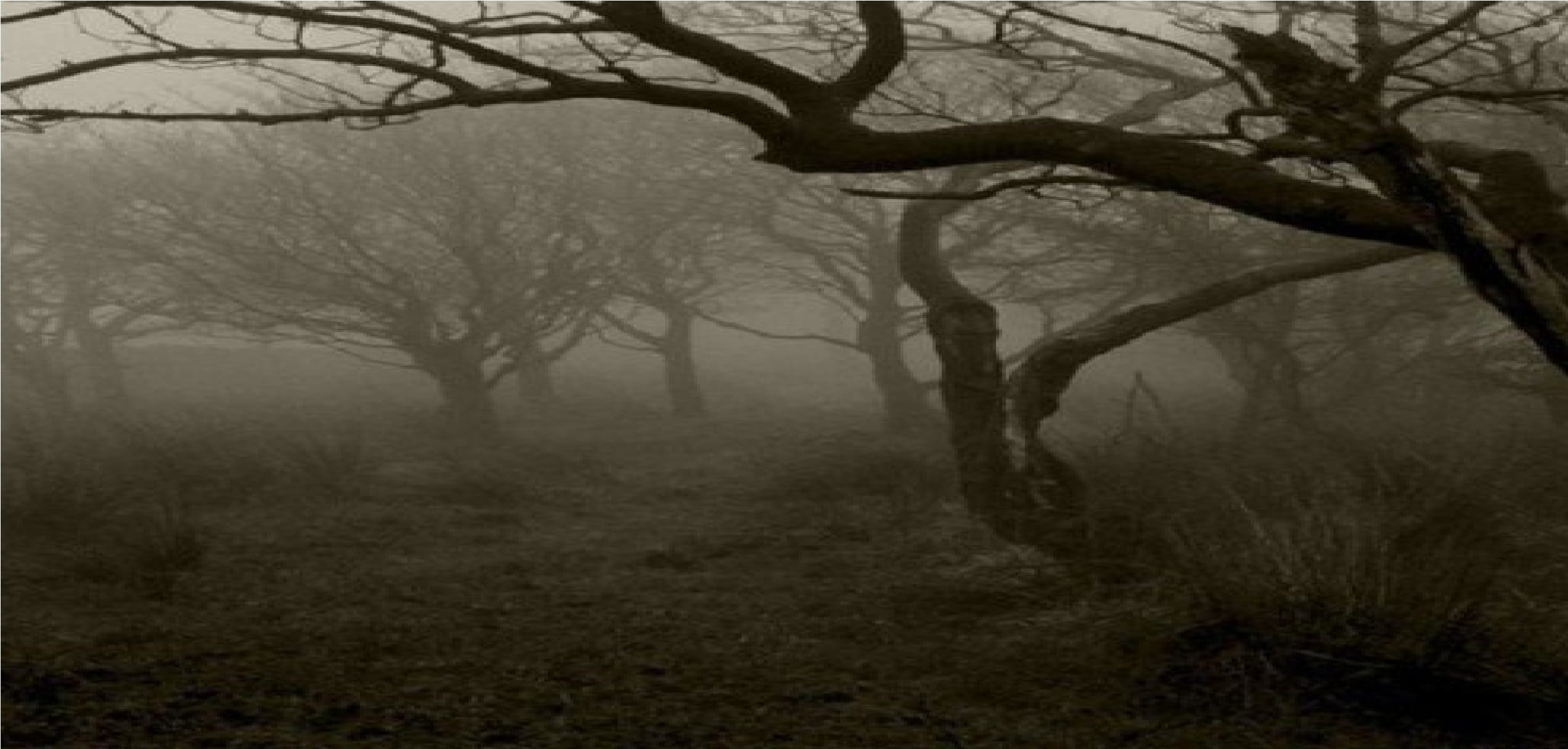 twelve women reason of known as horror place of Pendle Hill