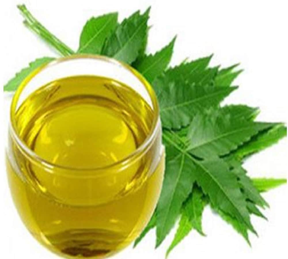 these three oils keep away dengue chikungunya mosquitoes