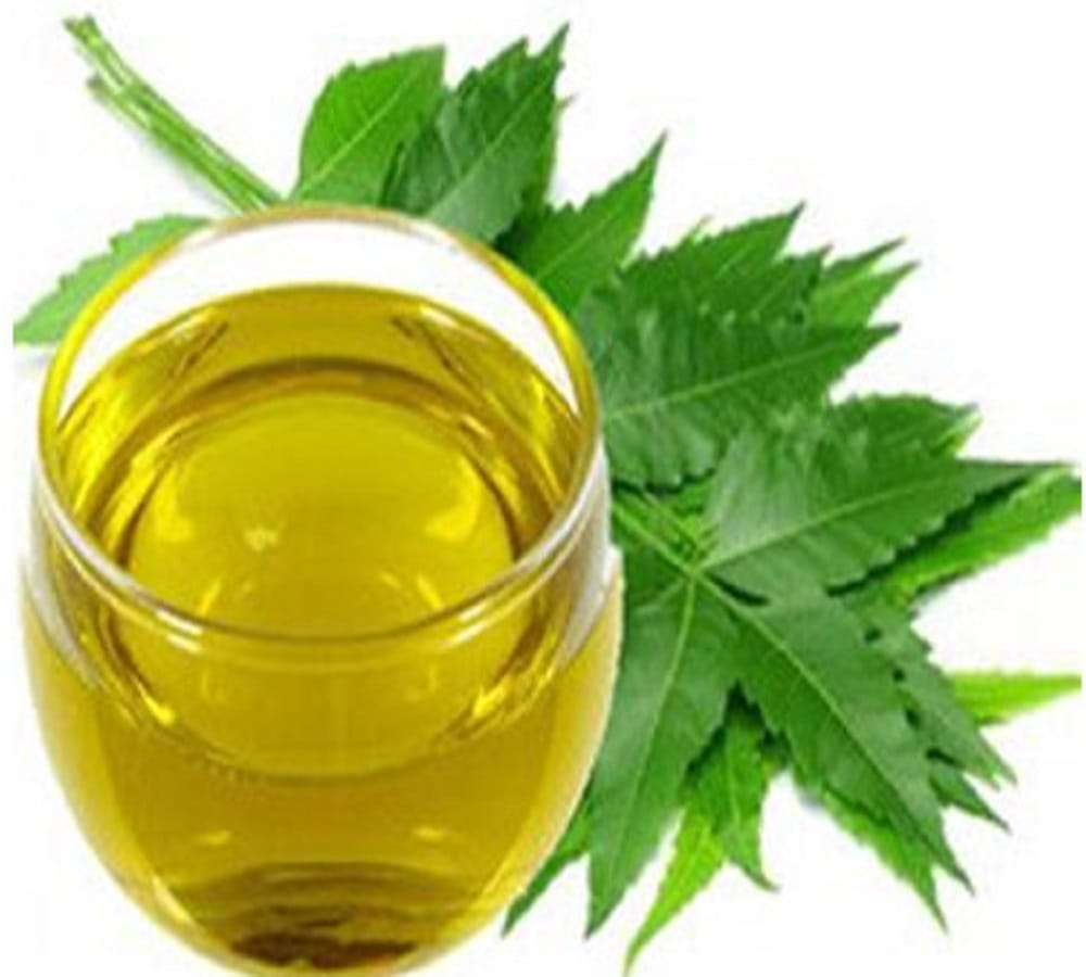 ayurvedic remedies for hair loss treatment