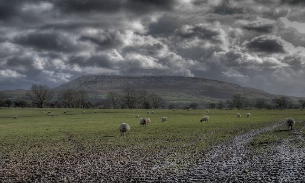 twelve women reason of known as horror place of Pendle Hill