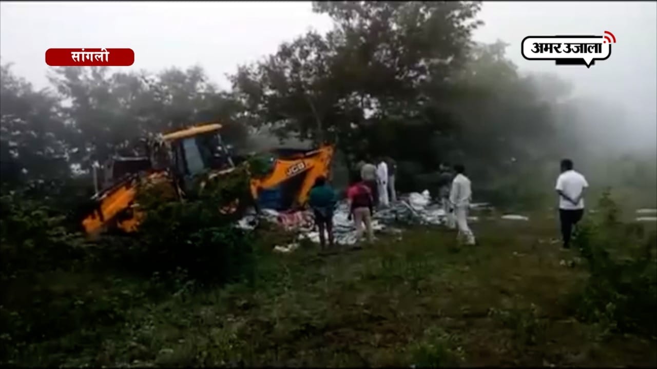 सांगली 